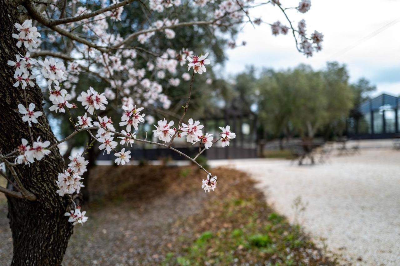 奥斯图尼Relais Trulli Le Icone住宿加早餐旅馆 外观 照片